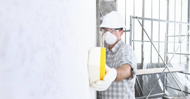 Mold Odor Removal Services in Weddington, NC