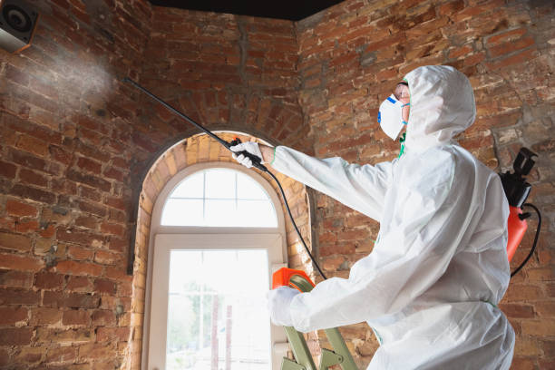 Why You Should Choose Our Mold Remediation Services in Weddington, NC